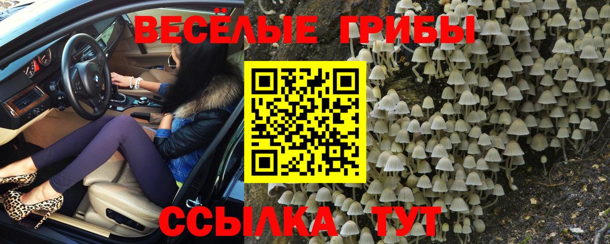 Галлюциногенные грибы Cubensis  Вход с VPN  Ишим  Галлюциногенные грибы мухоморы 