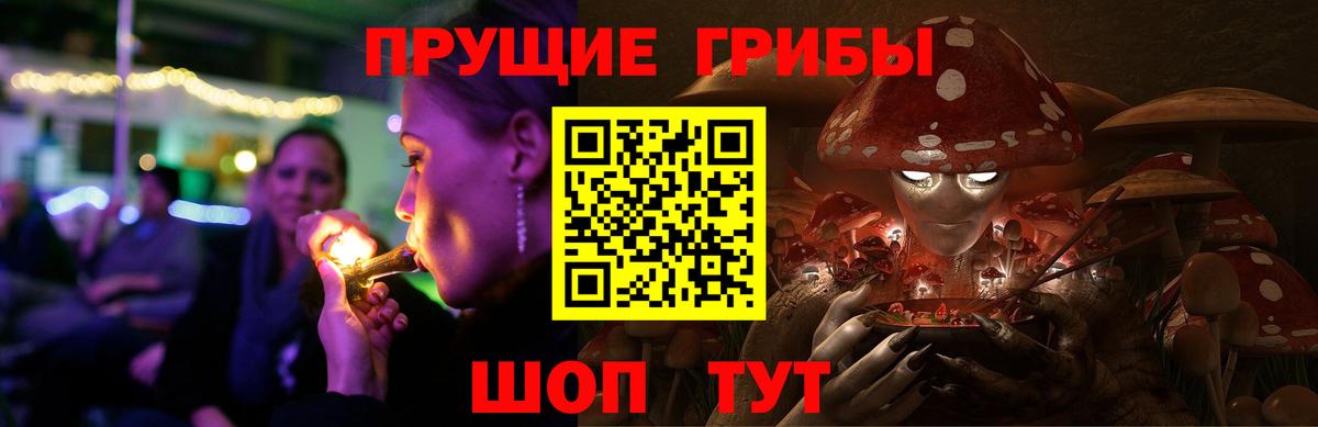 Псилоцибиновые грибы прущие грибы Ишим